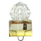 FISH-FIELD Water Active LED LIGHTS