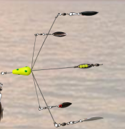 Oregon Tackle School of Fish