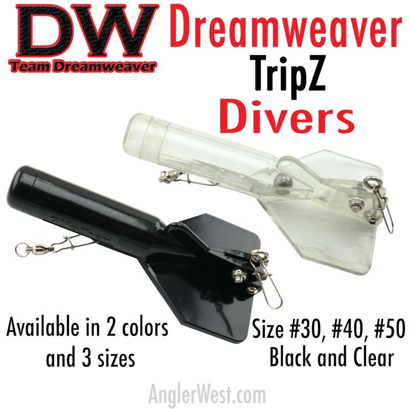 Dreamweaver TripZ Diver